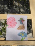 IMG_20210212_130534