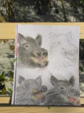 IMG_20210212_130548